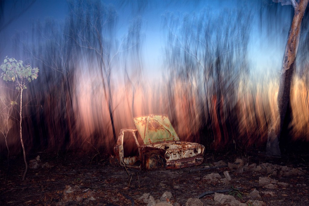 Liss Fenwick Turns Termite Mounds into Supermodels of the Outback