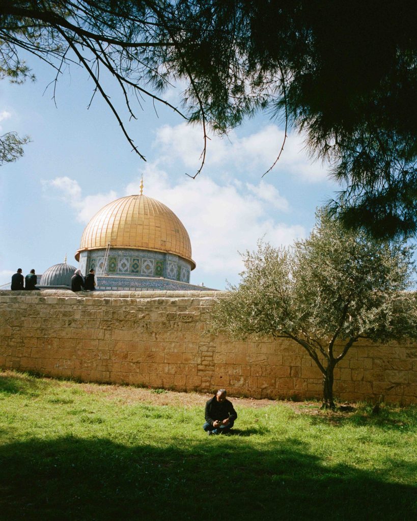 A man sits in the sunshine in the grass on a warm day in Palestine